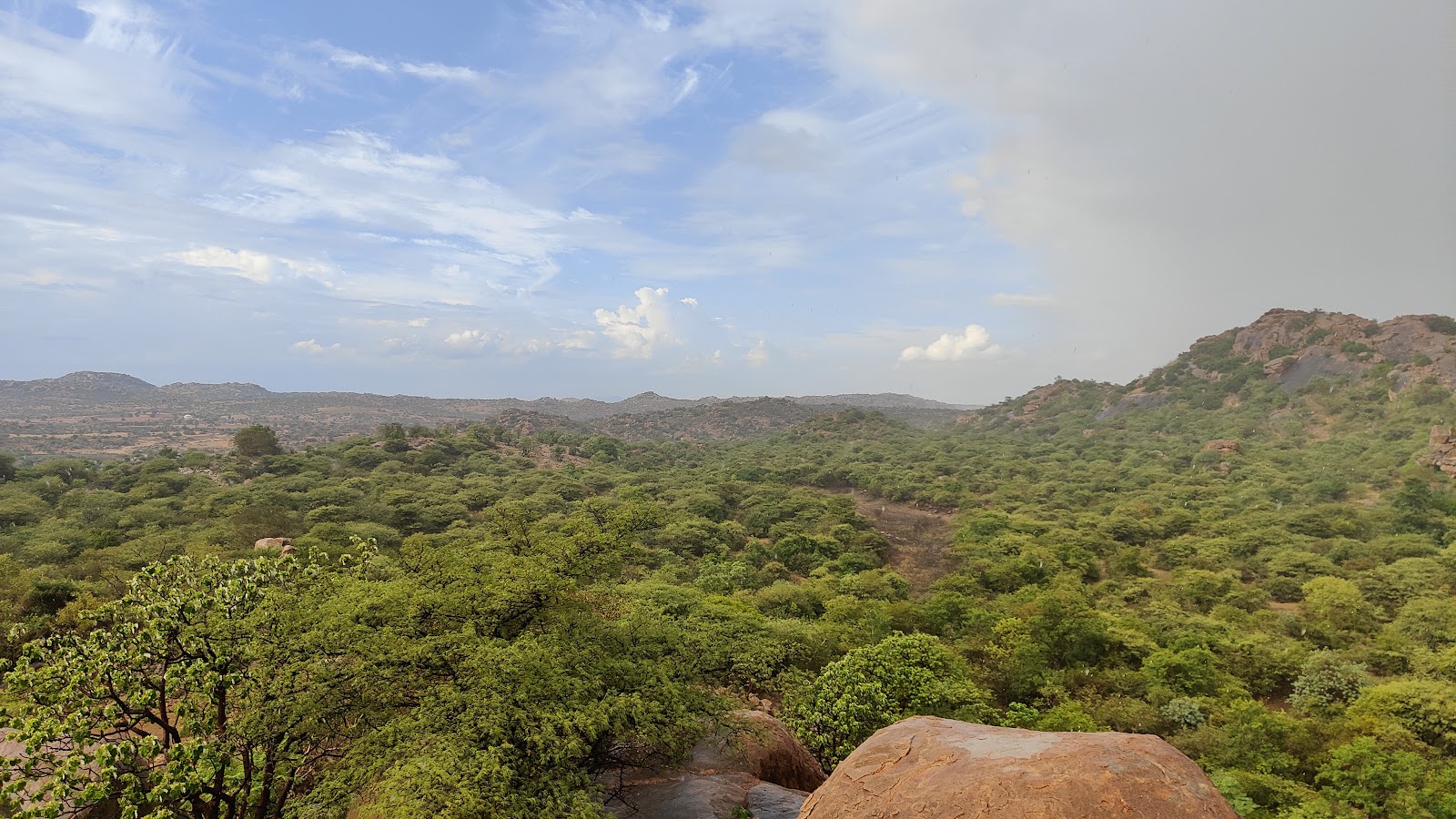 Daroji Sloth Bear Sanctuary