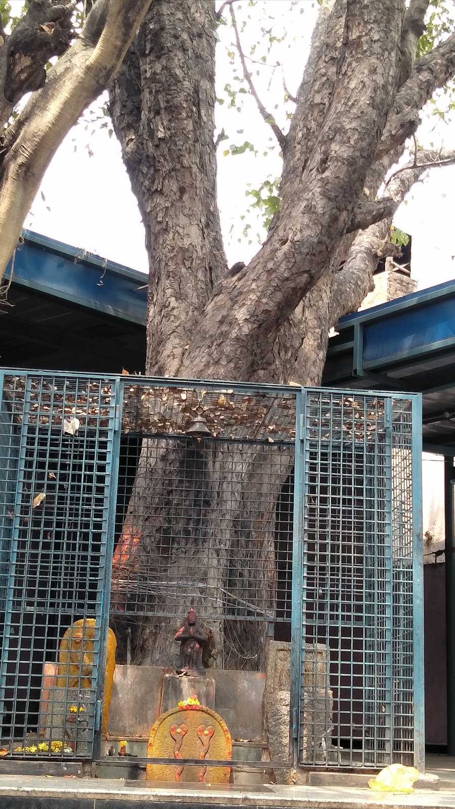 Kote Anjaneya Temple