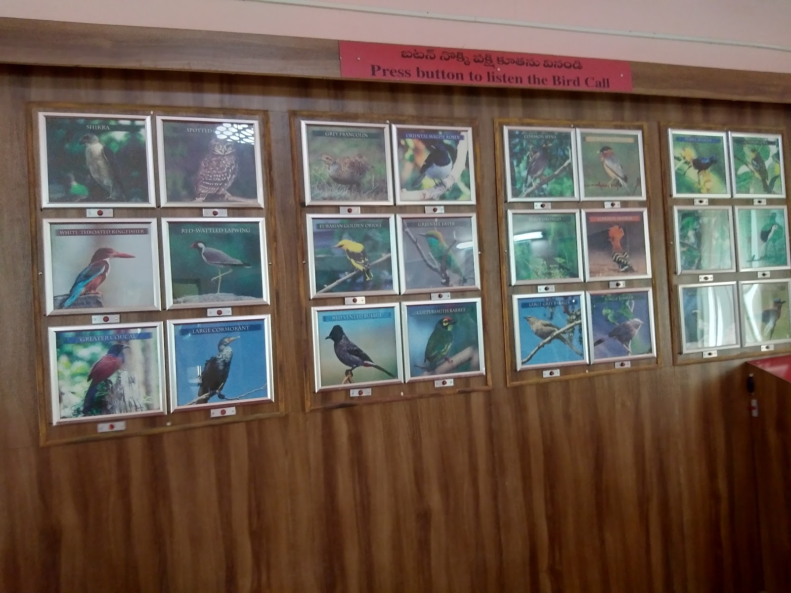 Rollapadu Wildlife Sanctuary