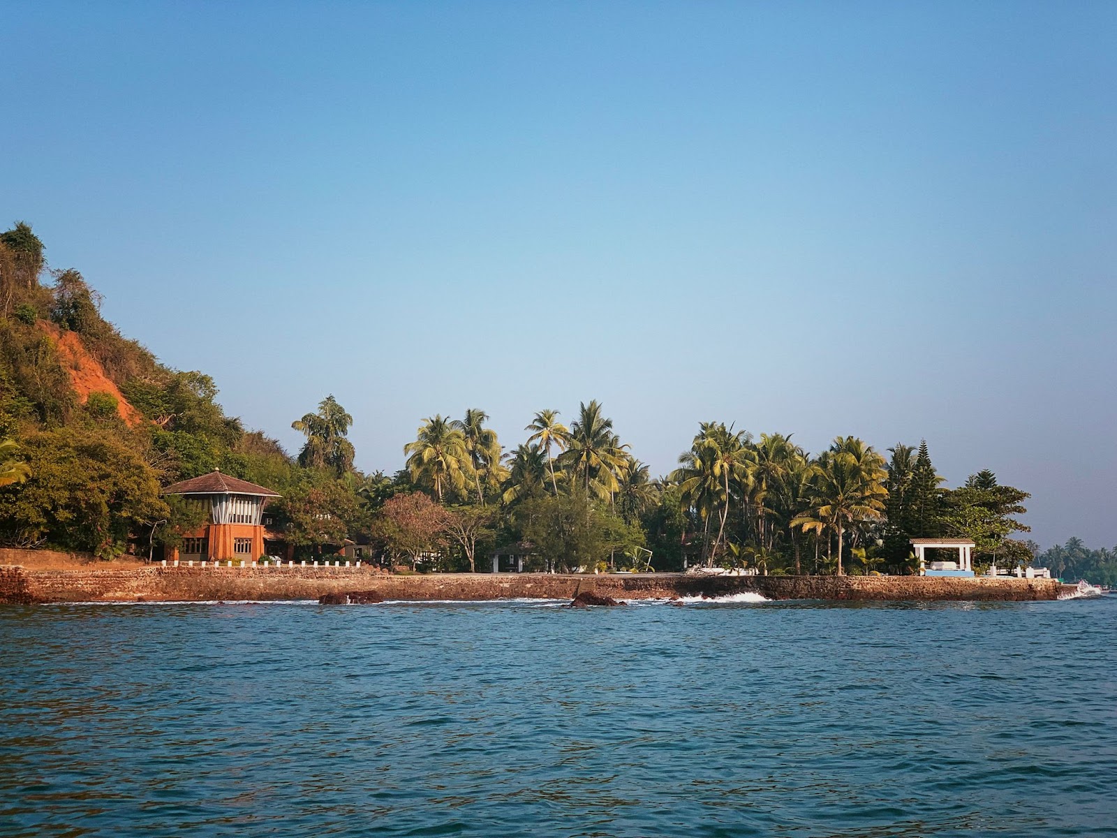 Dolphin Spotting Trips