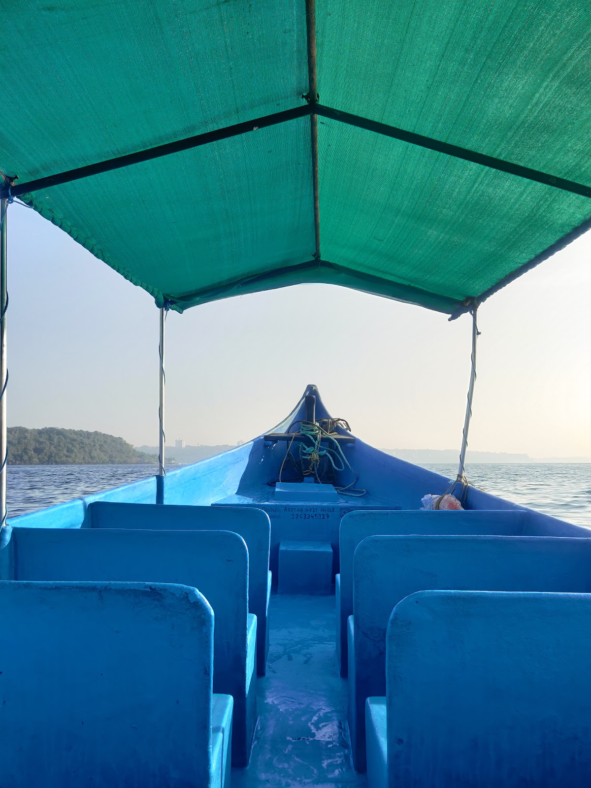 Dolphin Spotting Trips