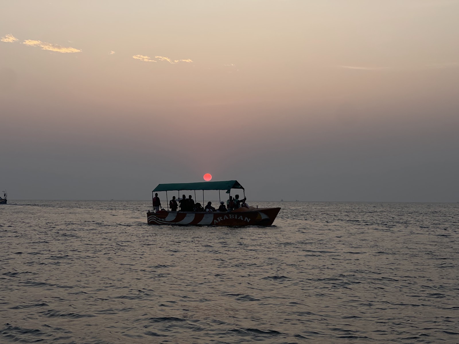 Dolphin Spotting Trips