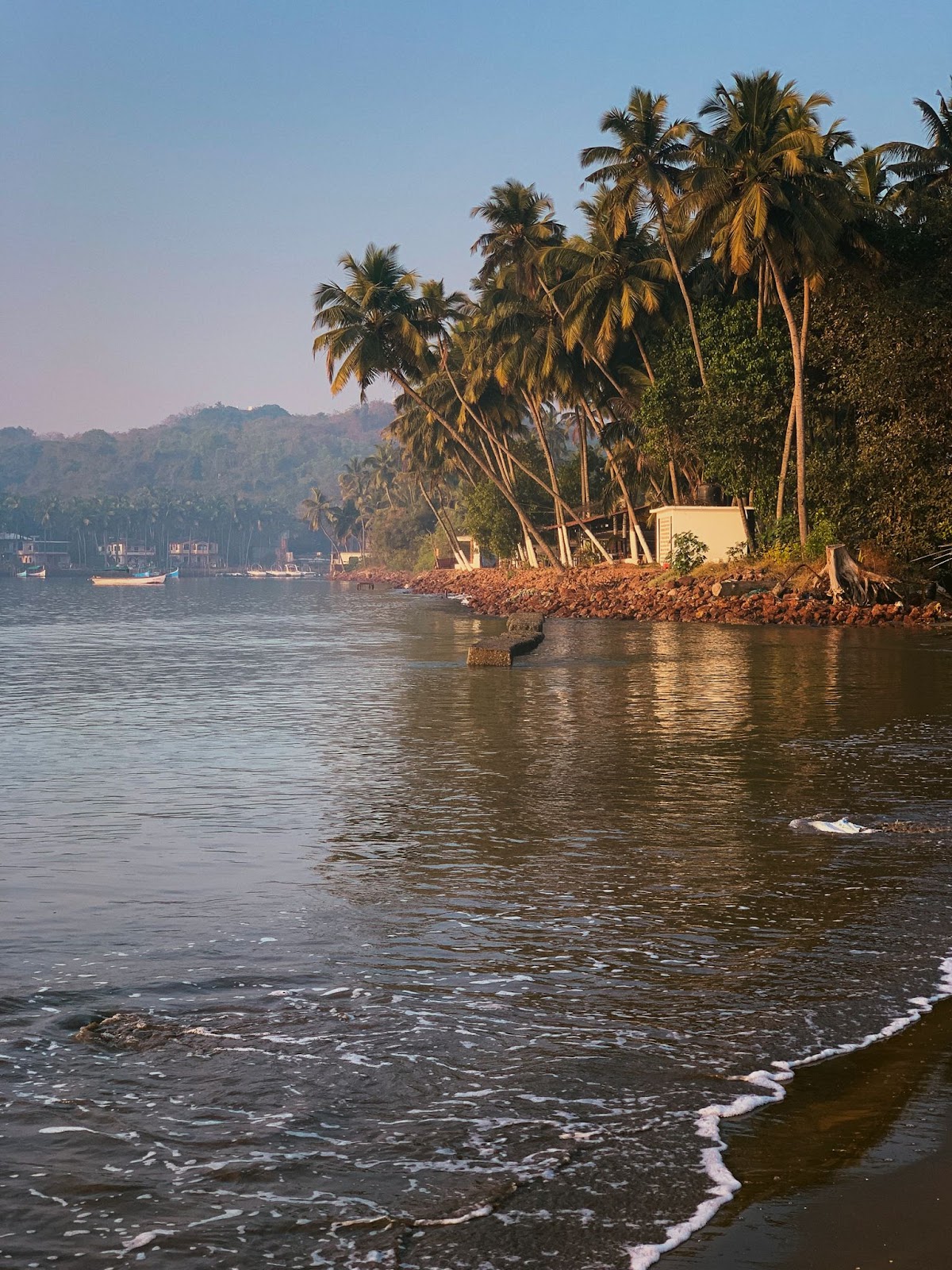 Dolphin Spotting Trips