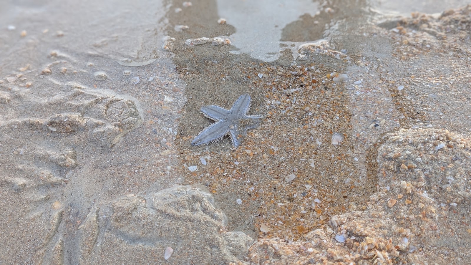 Sunset Viewing Points