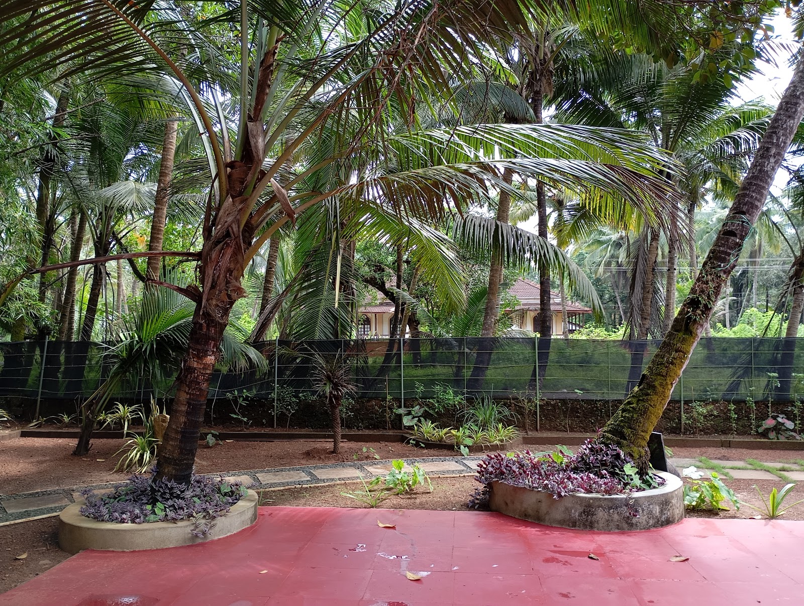 Yoga and Wellness Centers