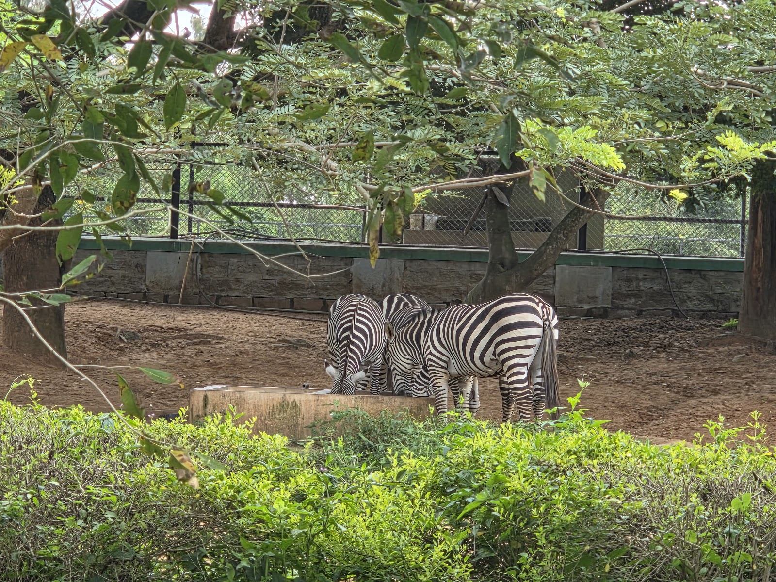 Bannerghatta National Park