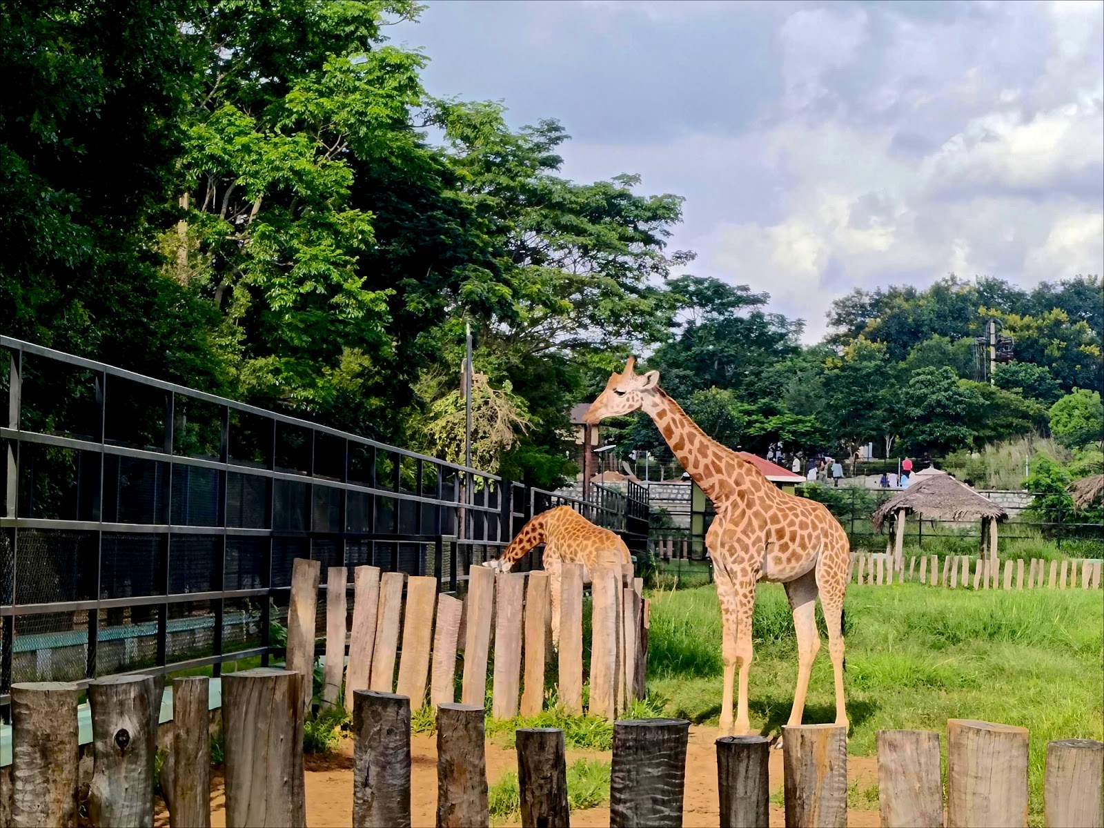 Bannerghatta National Park