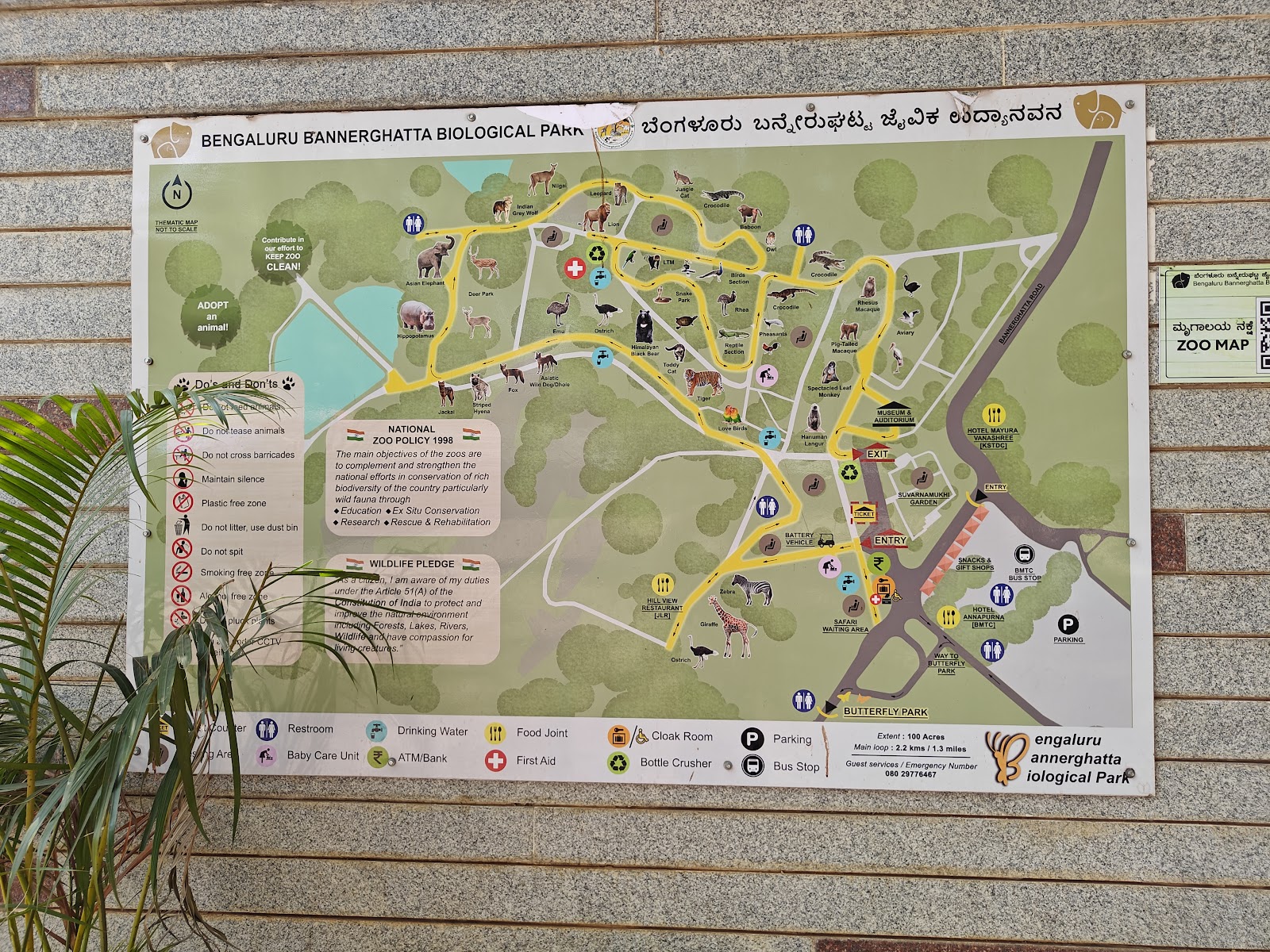 Bannerghatta National Park