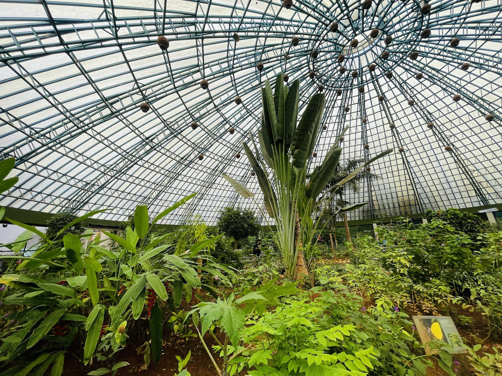 Bannerghatta National Park