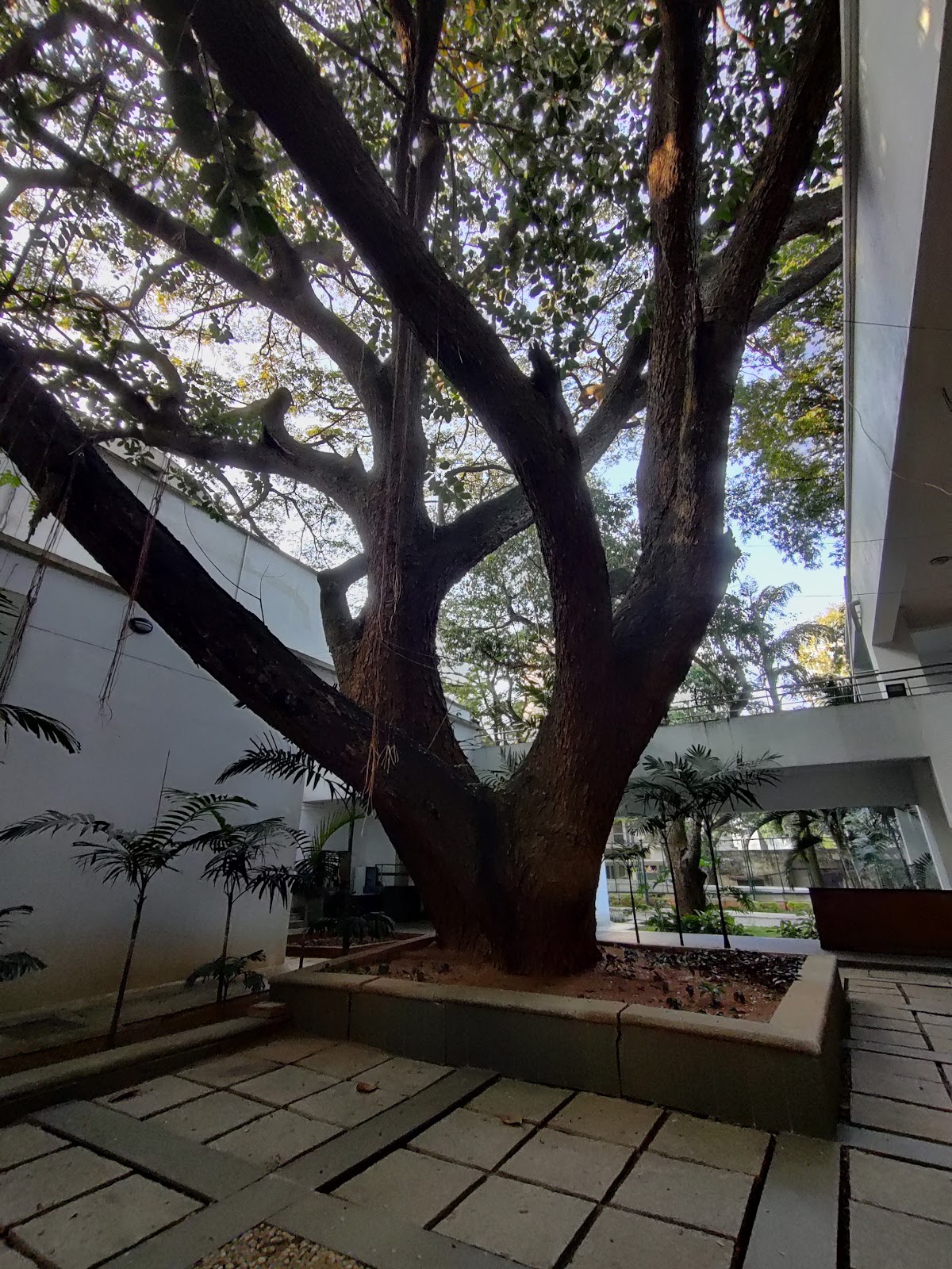 National Gallery of Modern Art