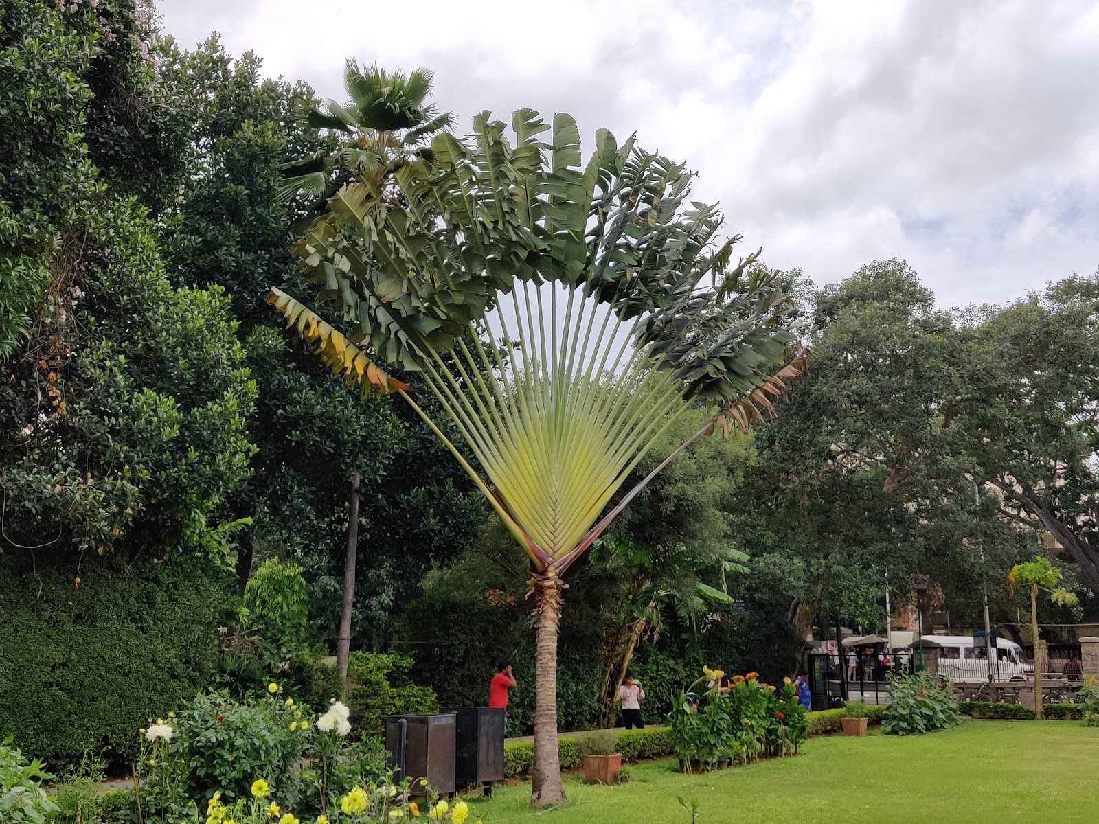 Tipu Sultan's Summer Palace