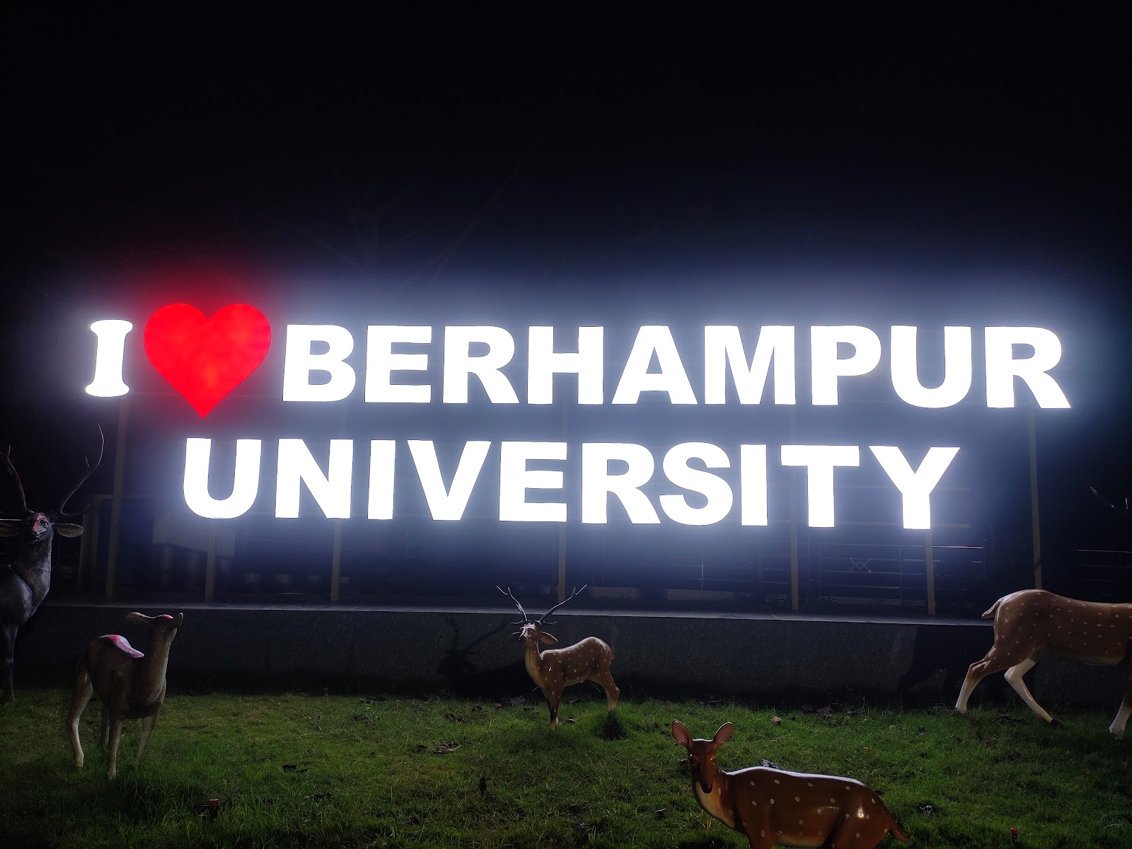 Berhampur University