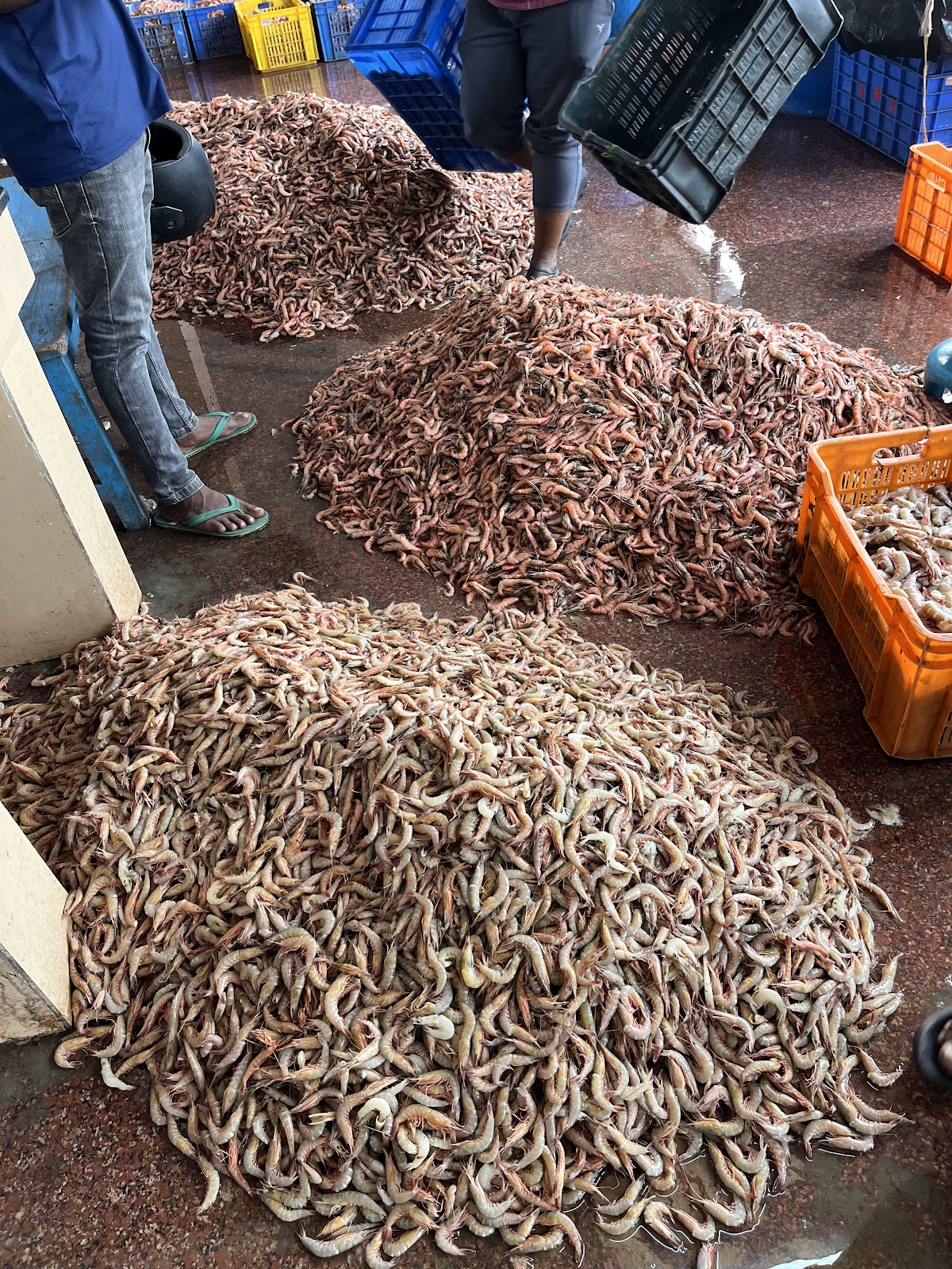 Brahmapur Fishing Harbour
