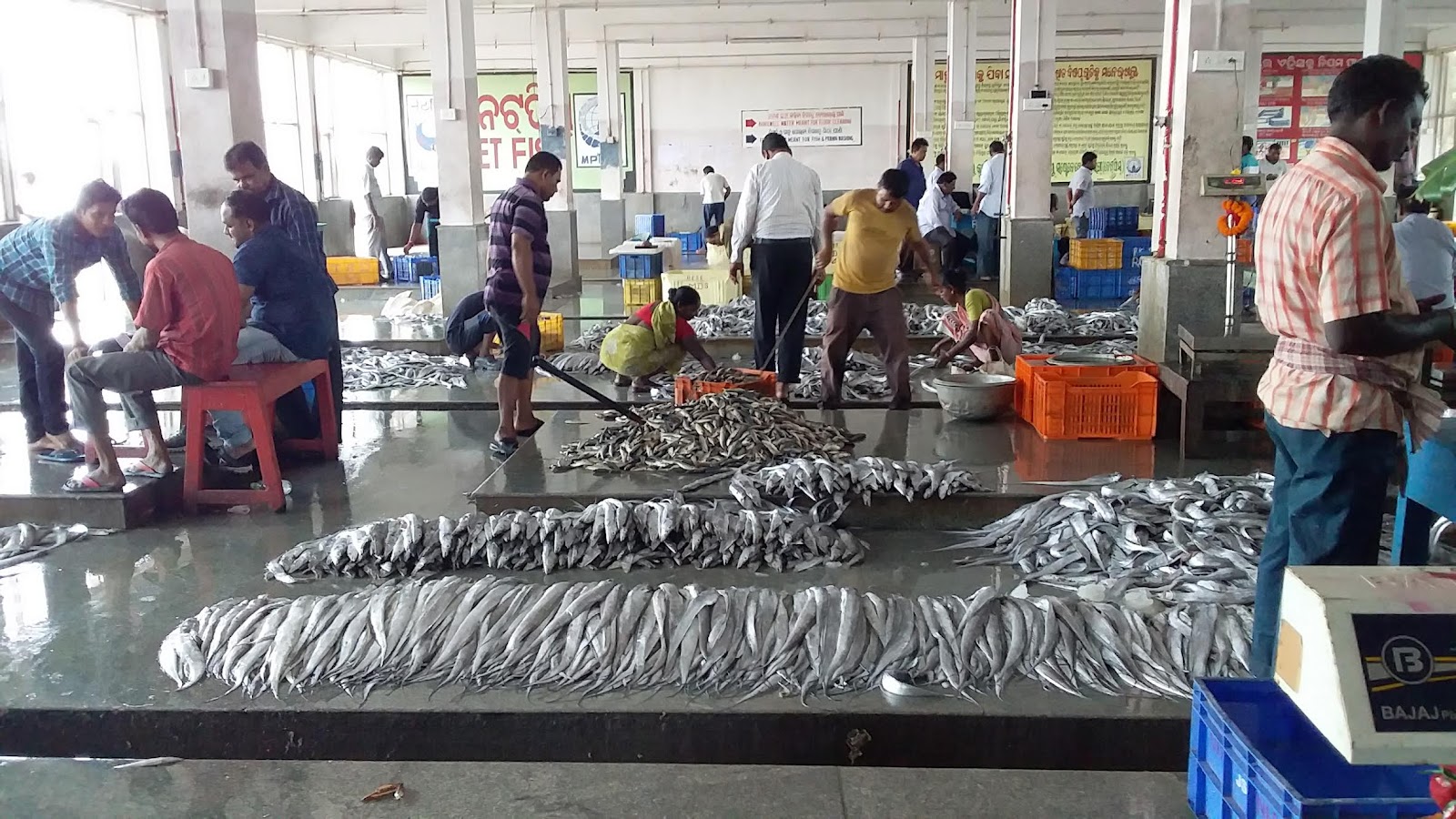 Brahmapur Fishing Harbour