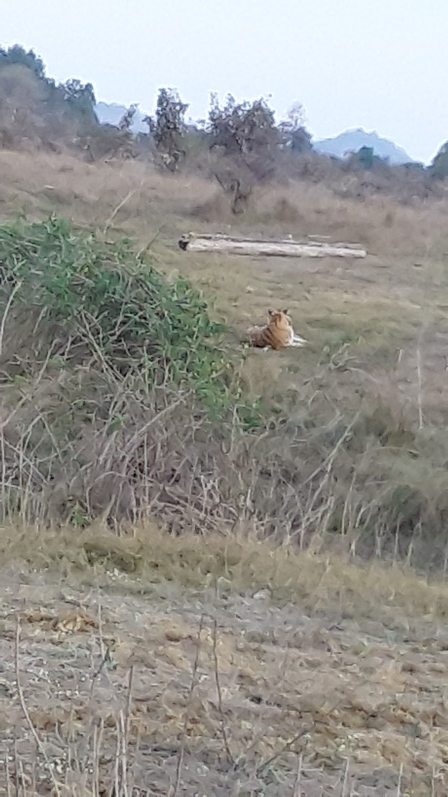 Bori Wildlife Sanctuary