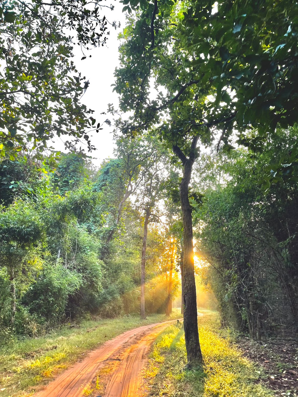 Bori Wildlife Sanctuary