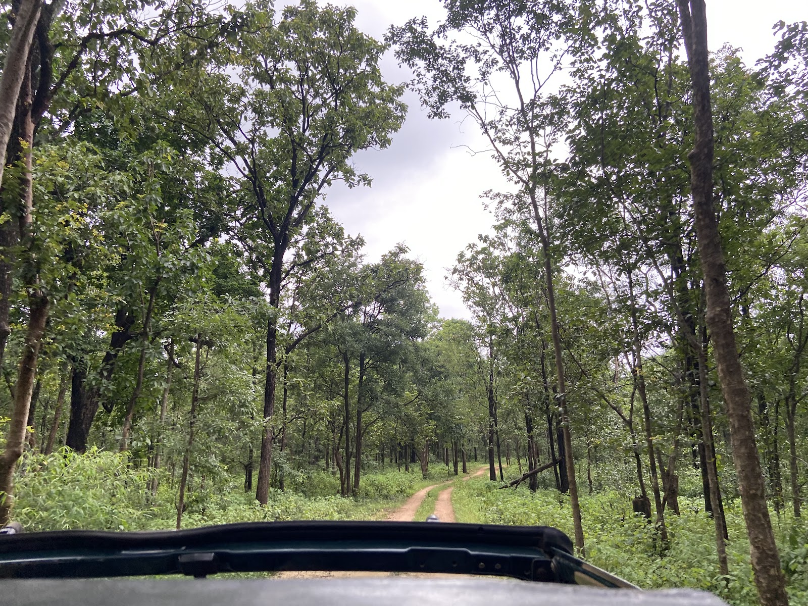 Kanha National Park