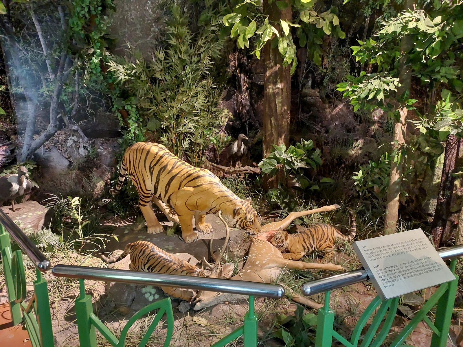 Satpura National Park