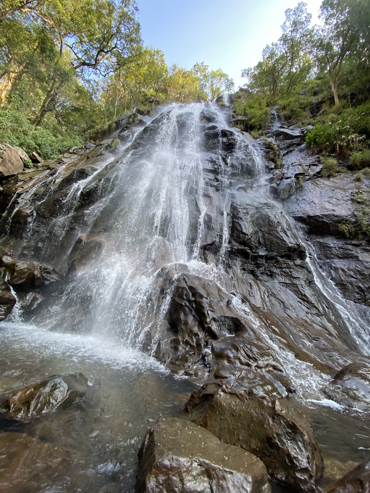 Satpura National Park