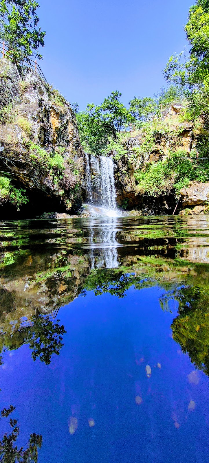 Satpura National Park
