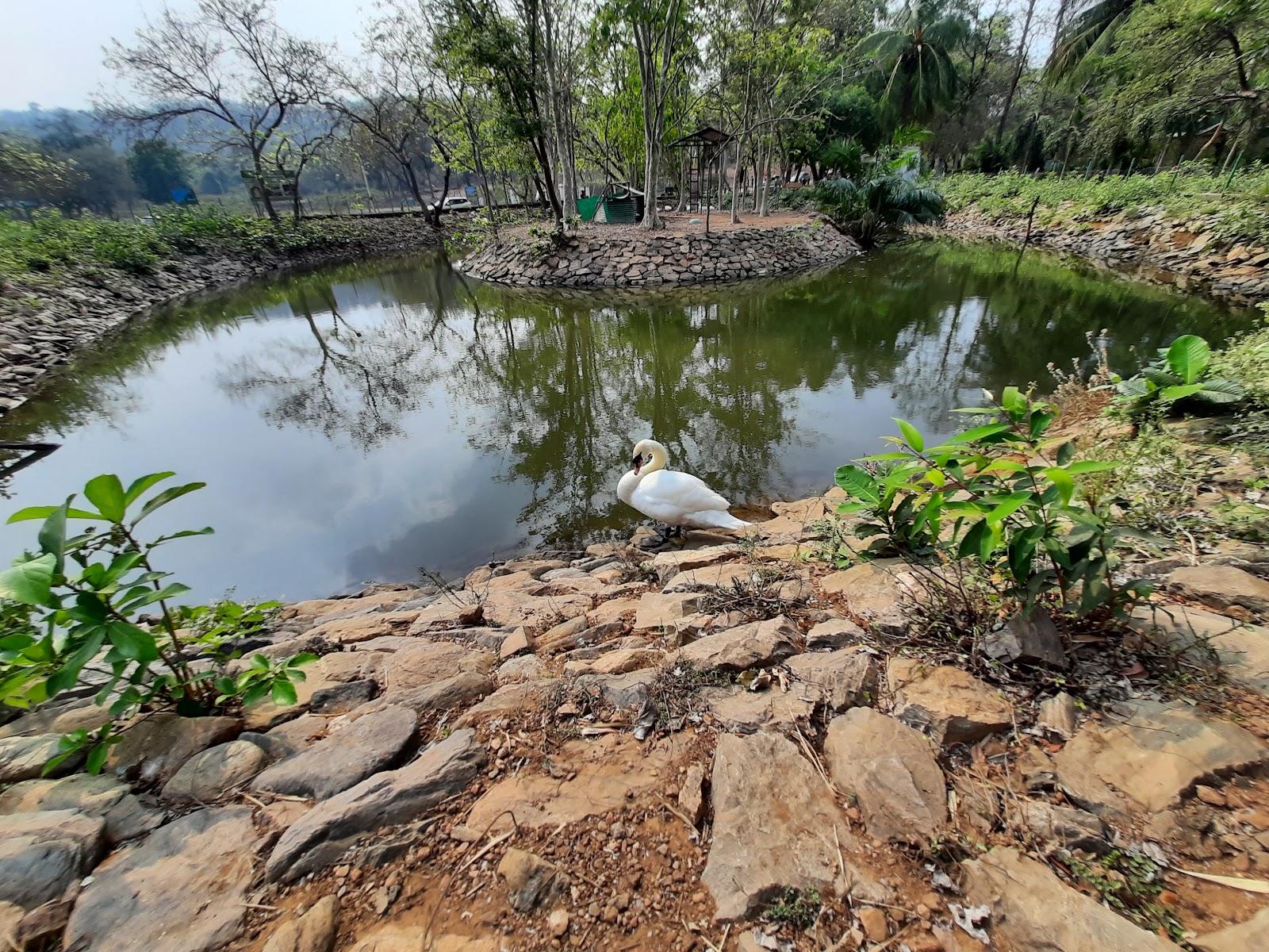 Kinnerasani Wildlife Sanctuary