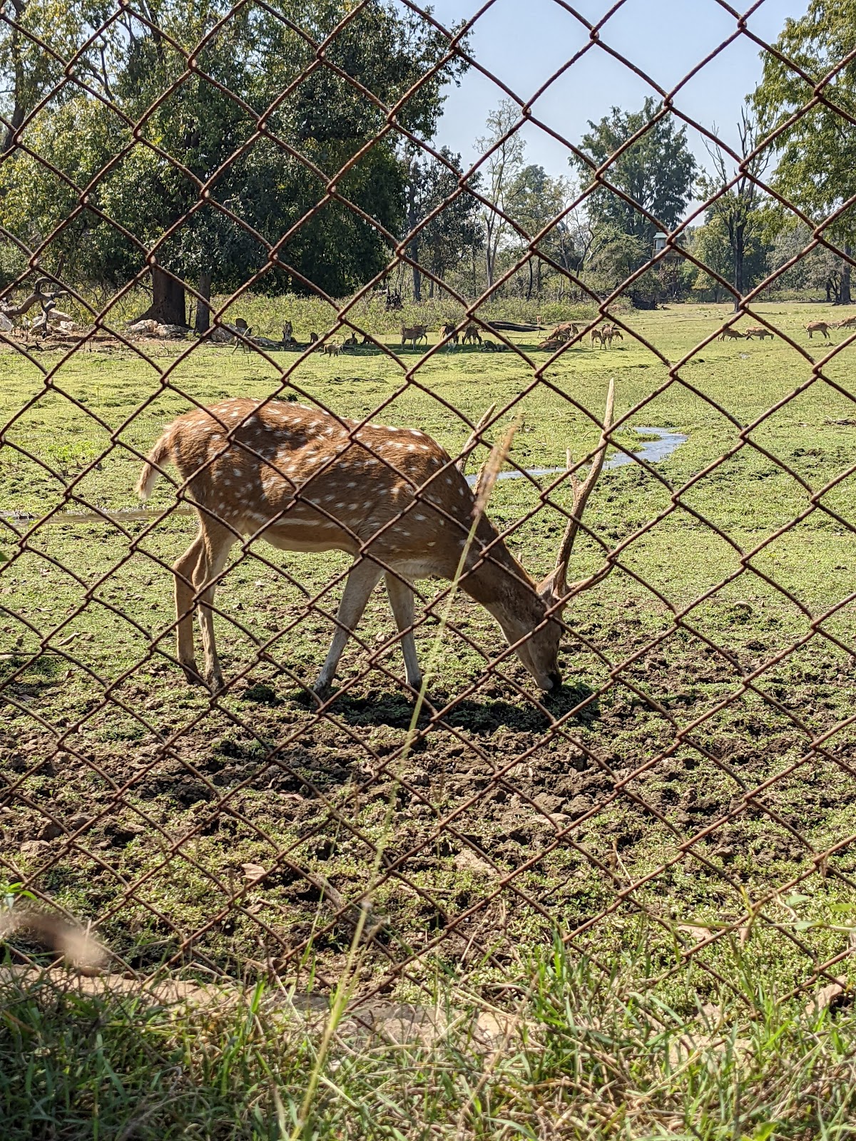 Kinnerasani Wildlife Sanctuary