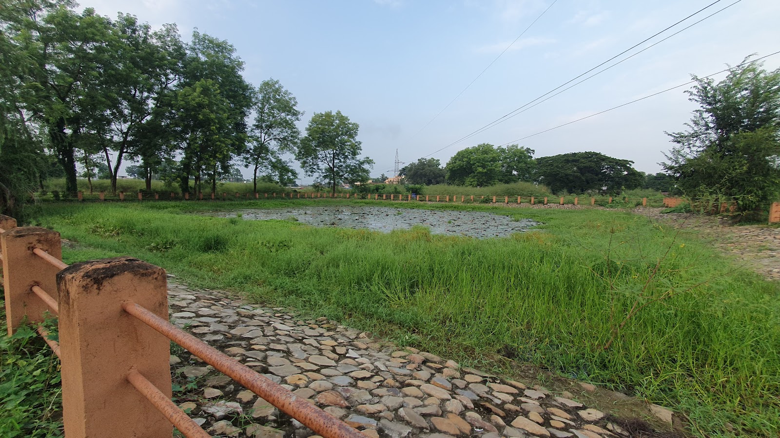 Bhadreswar Rajbari Ruins