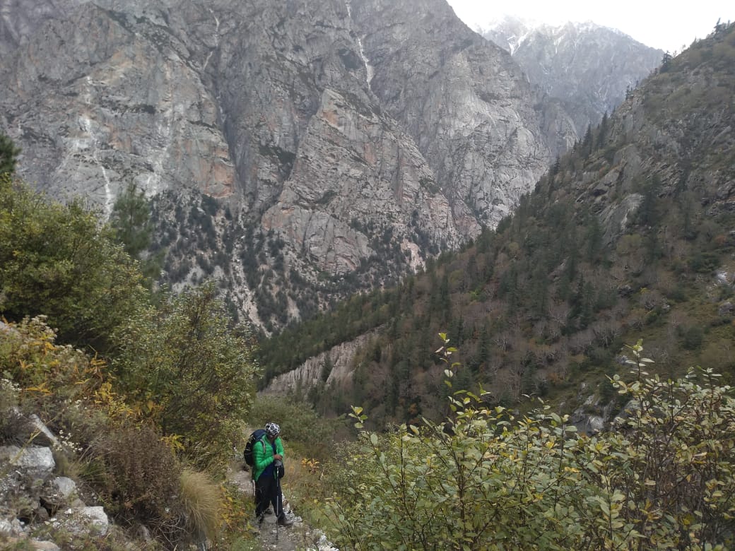 Kedar Tal
