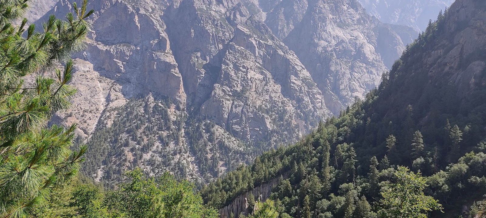 Kedar Tal
