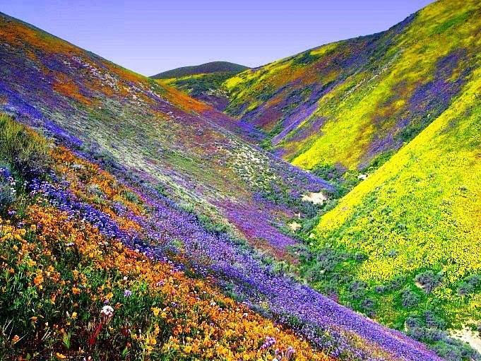 Nanda Devi National Park