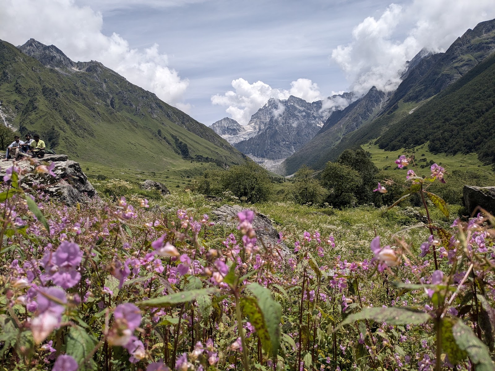 Valley of Flowers