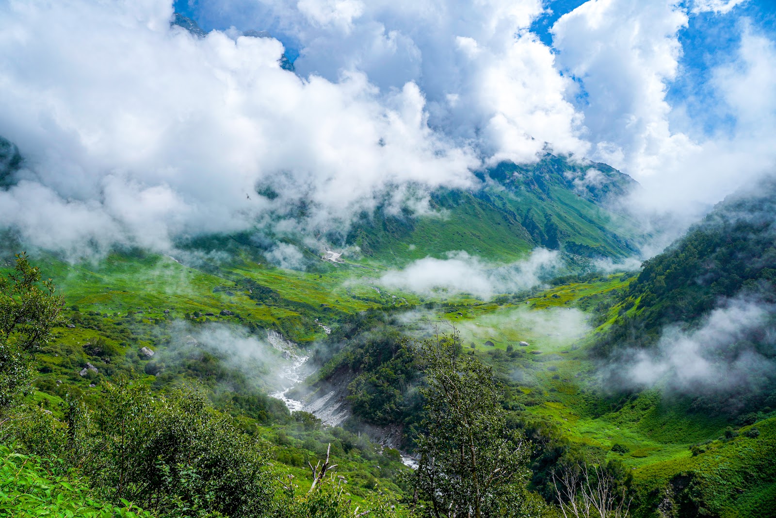 Valley of Flowers