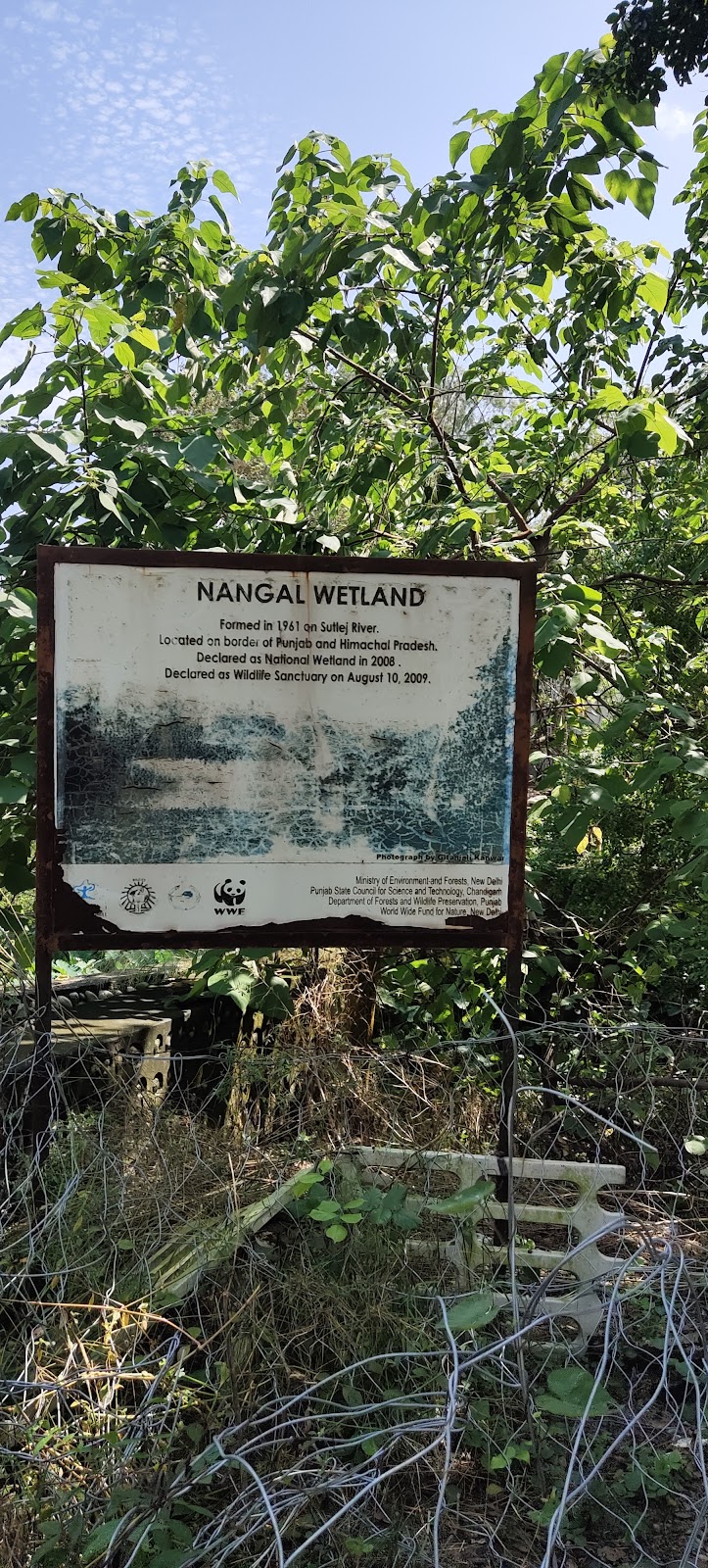 Sutlej Riverside Walk