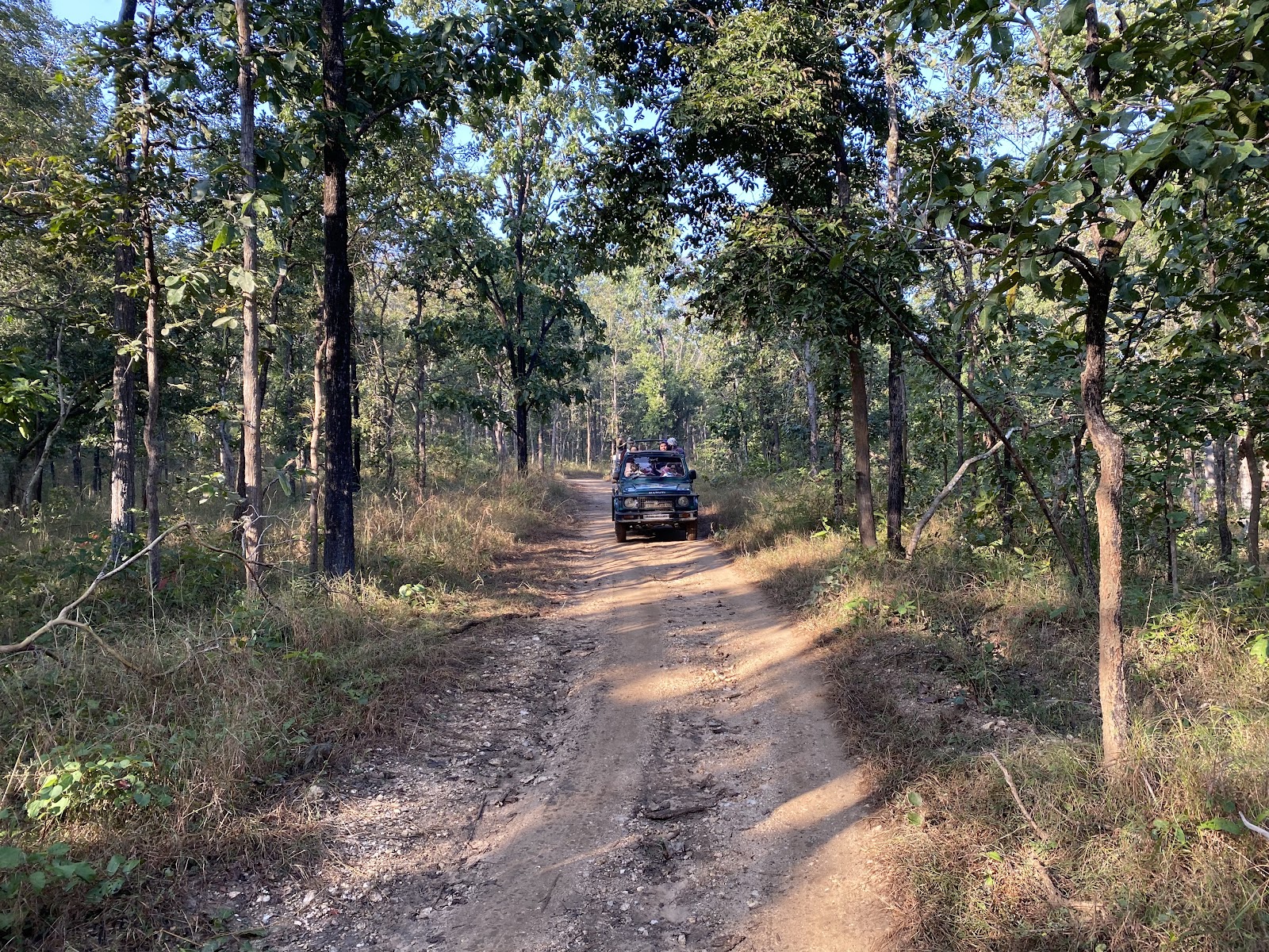Umred Karhandla Wildlife Sanctuary