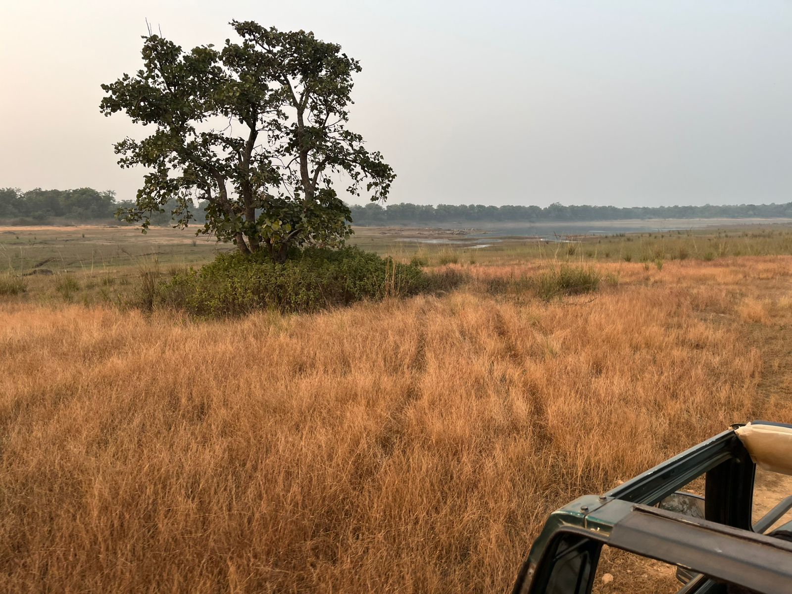 Umred Karhandla Wildlife Sanctuary