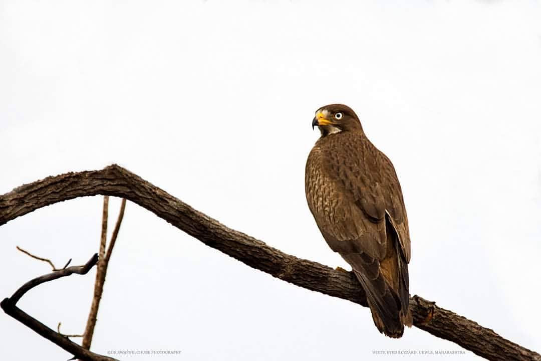 Umred Karhandla Wildlife Sanctuary