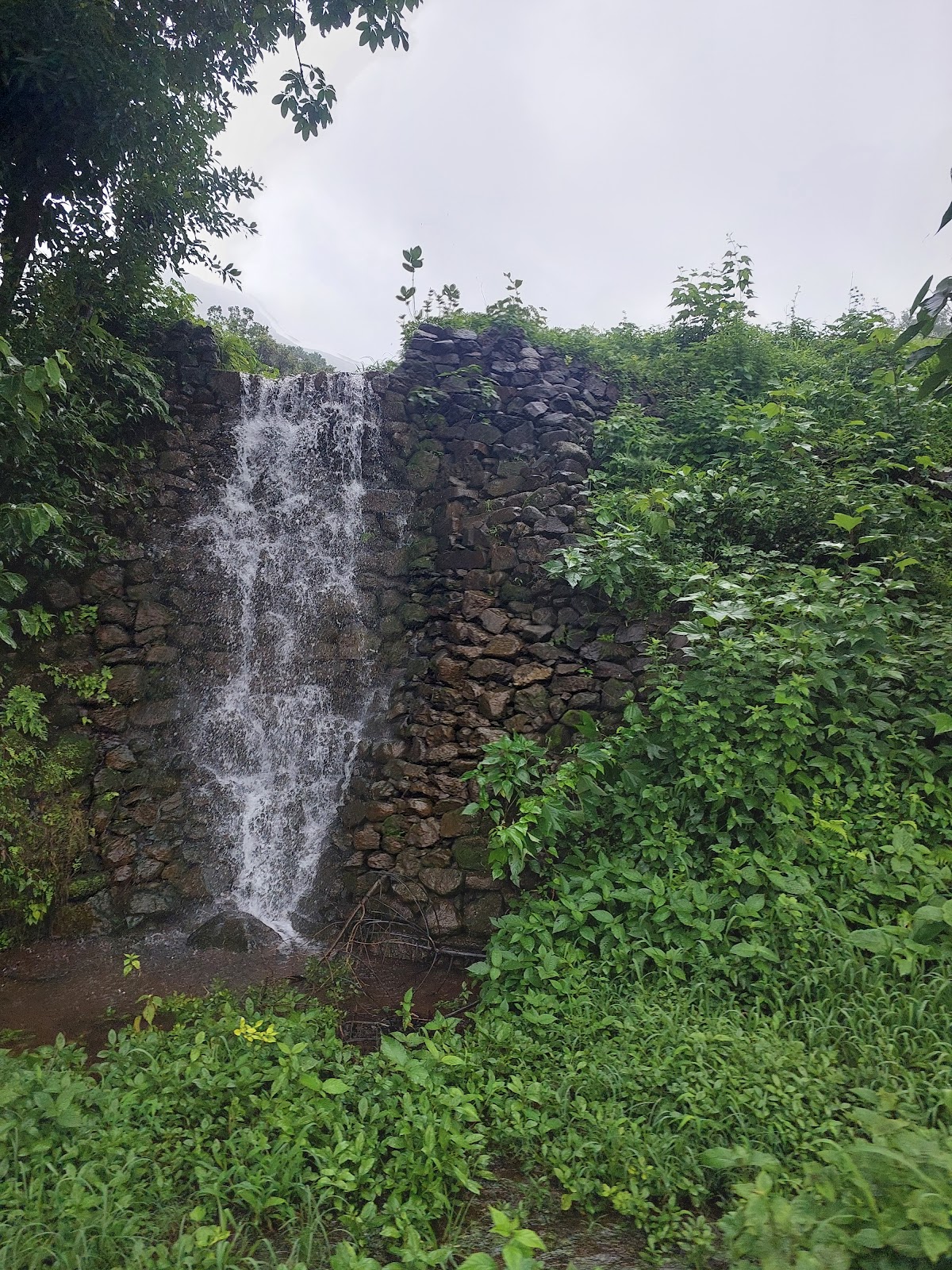 Bhandardara Nature Park