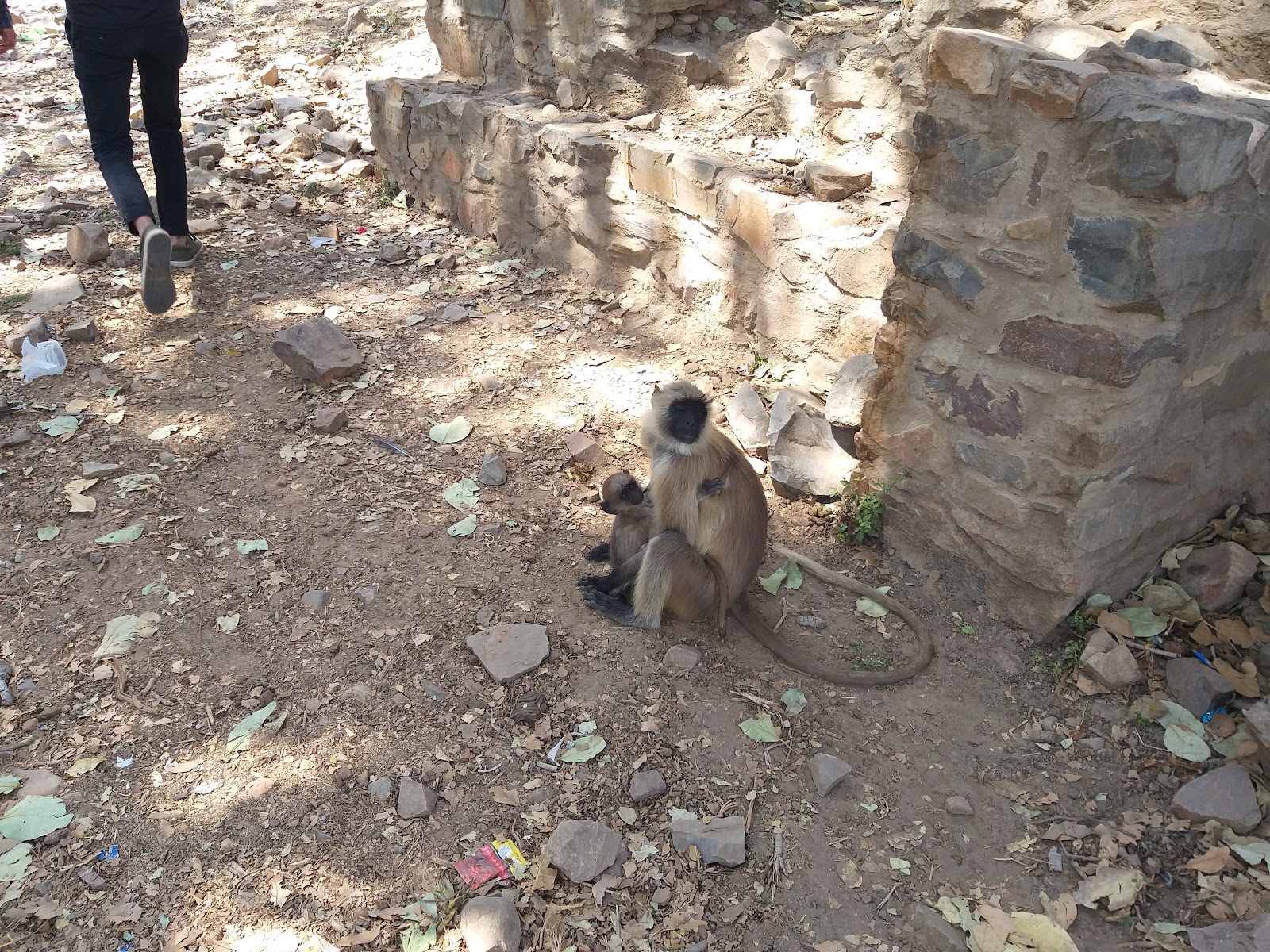 Hanuman Temple Bhangarh