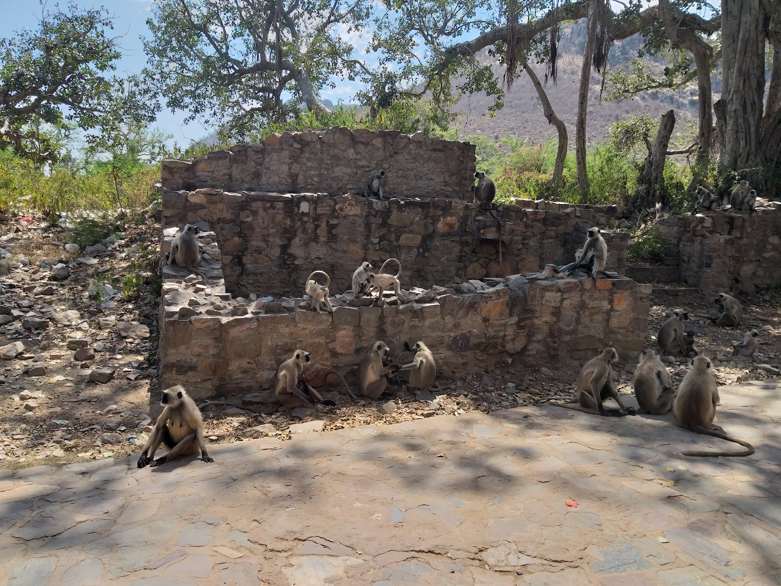 Hanuman Temple Bhangarh