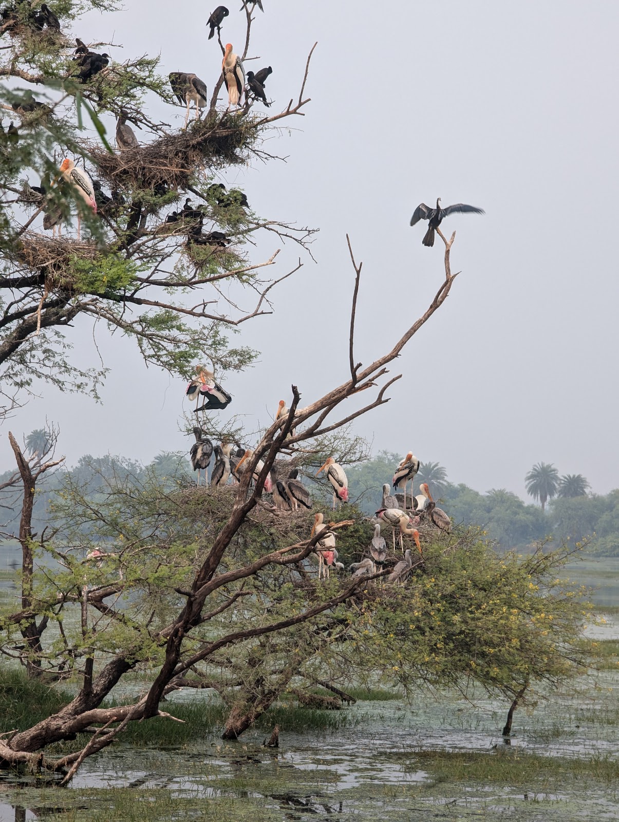 Bharatpur Bird Interpretation Centre
