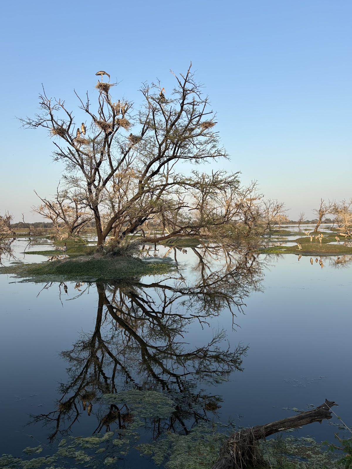 Bharatpur Bird Interpretation Centre