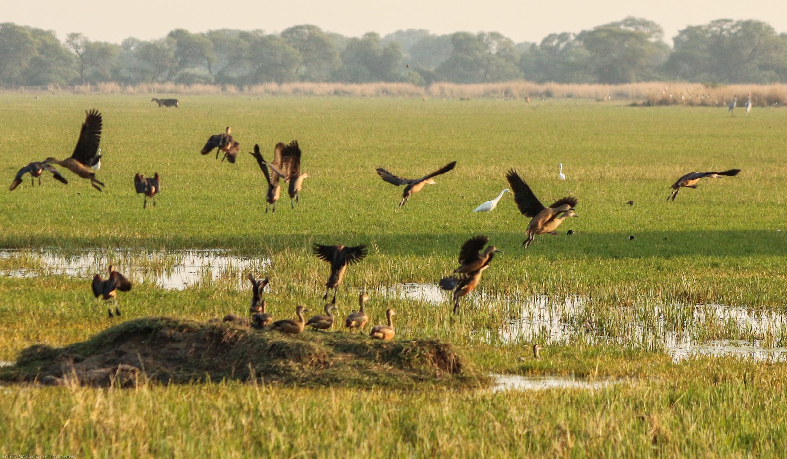 Bharatpur Bird Interpretation Centre