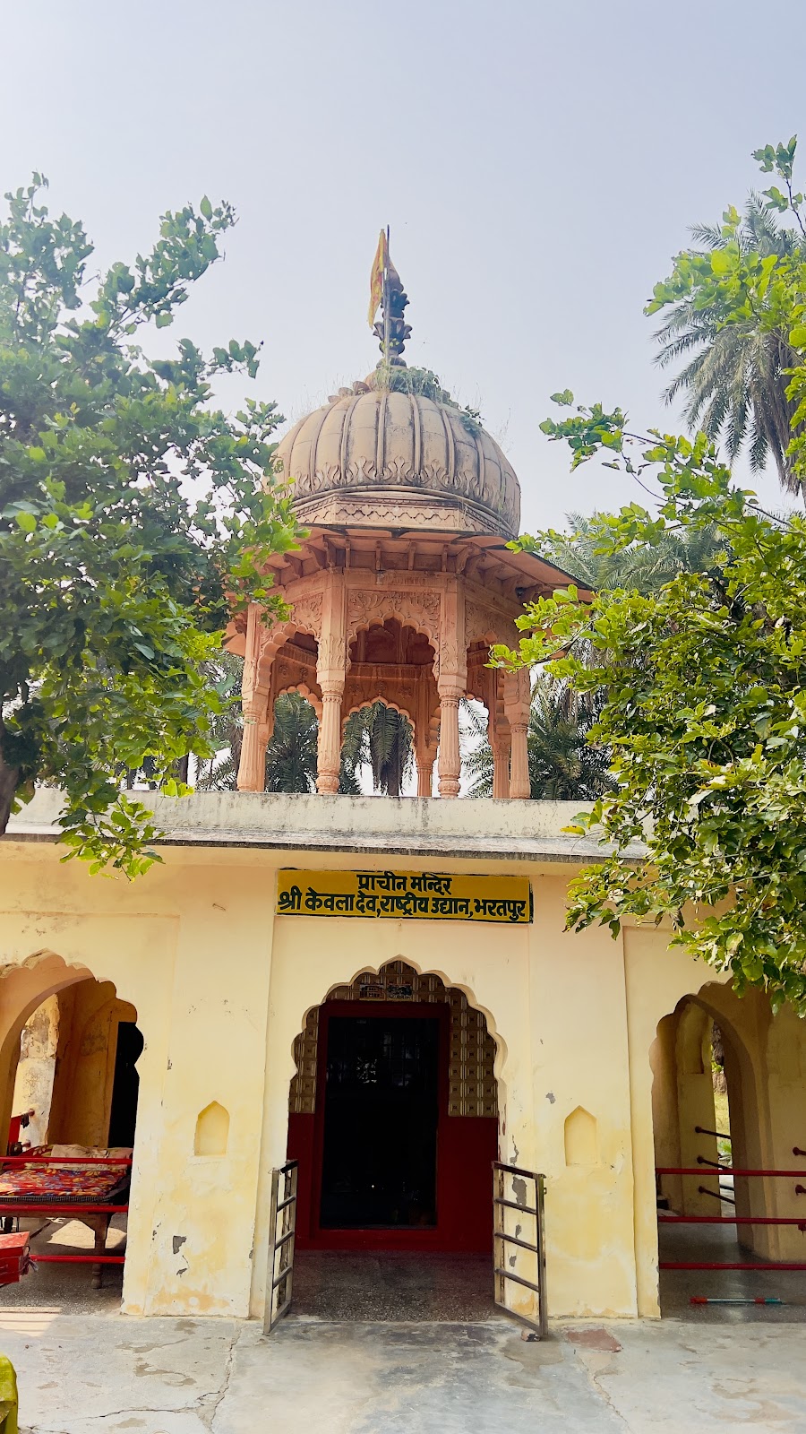 Bharatpur Bird Sanctuary - A Bird Watcher's Paradise