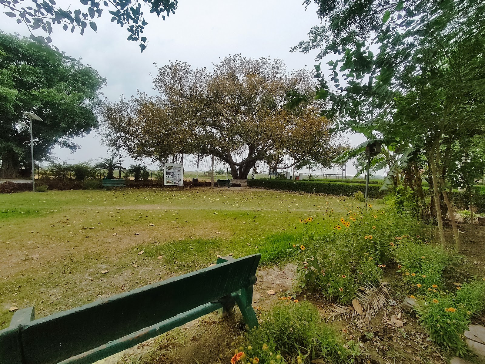 Saman Bird Sanctuary