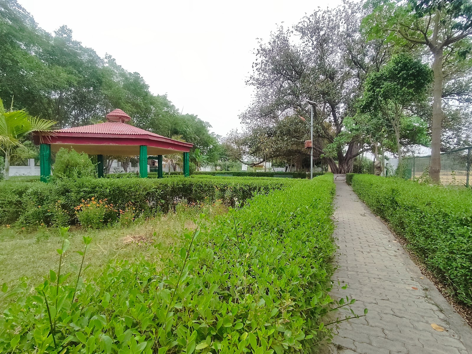 Saman Bird Sanctuary