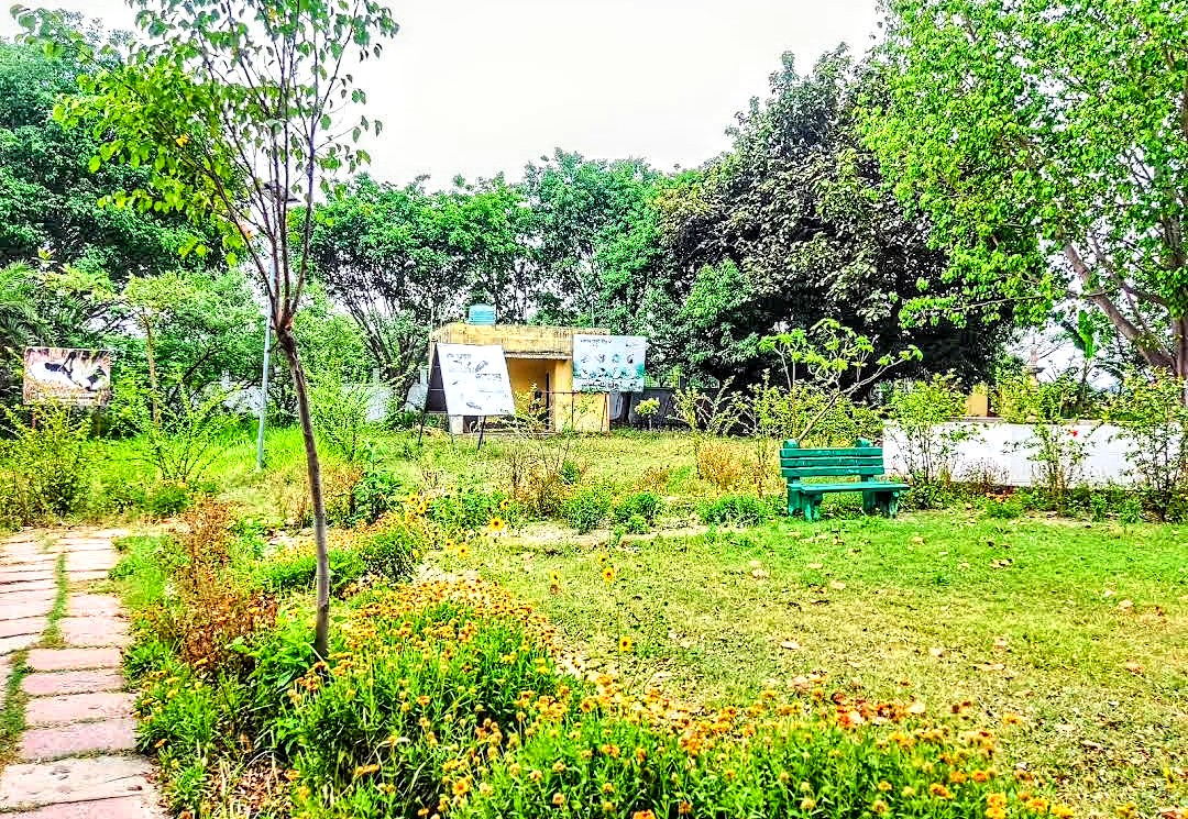 Saman Bird Sanctuary