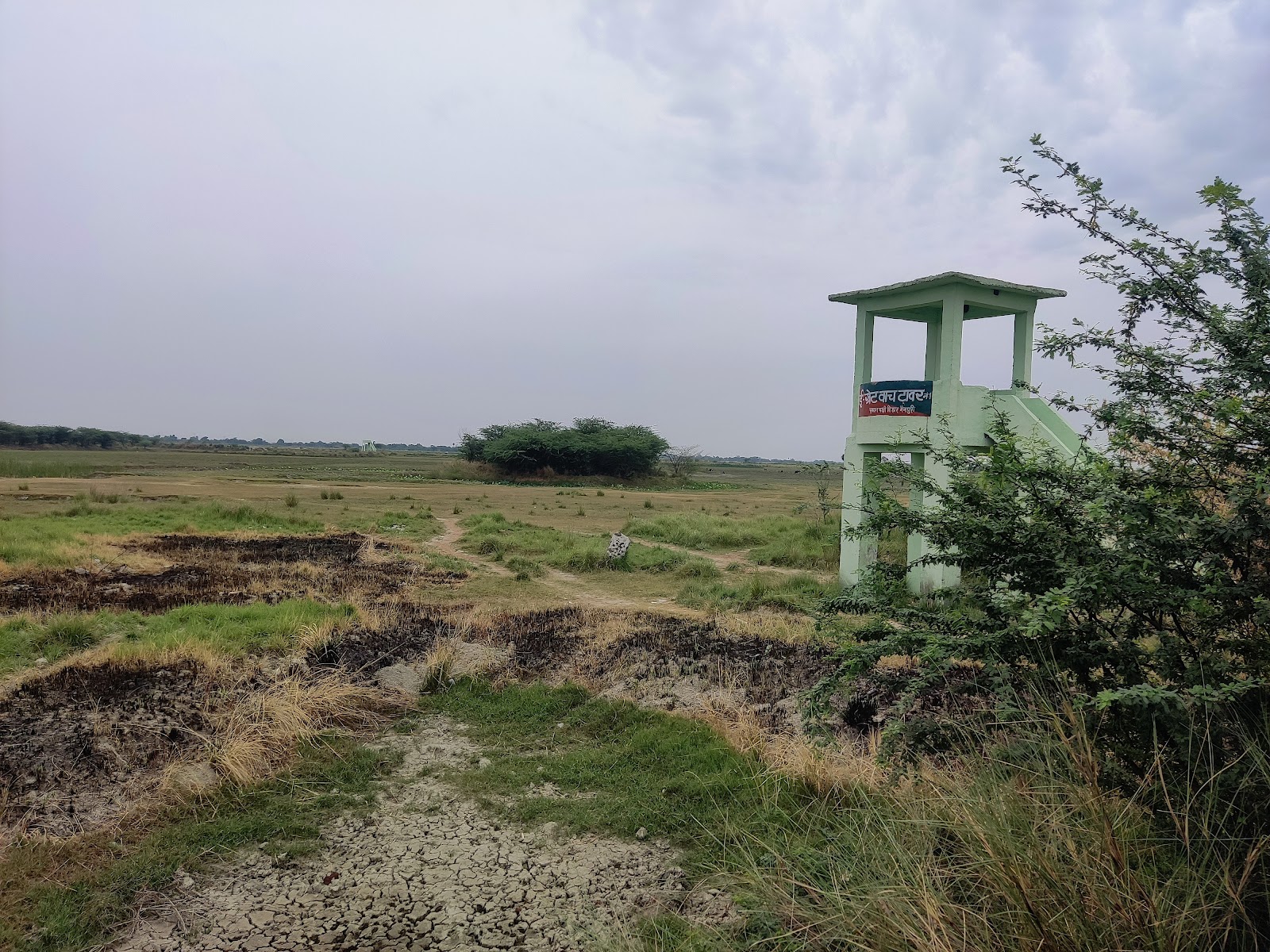 Saman Bird Sanctuary