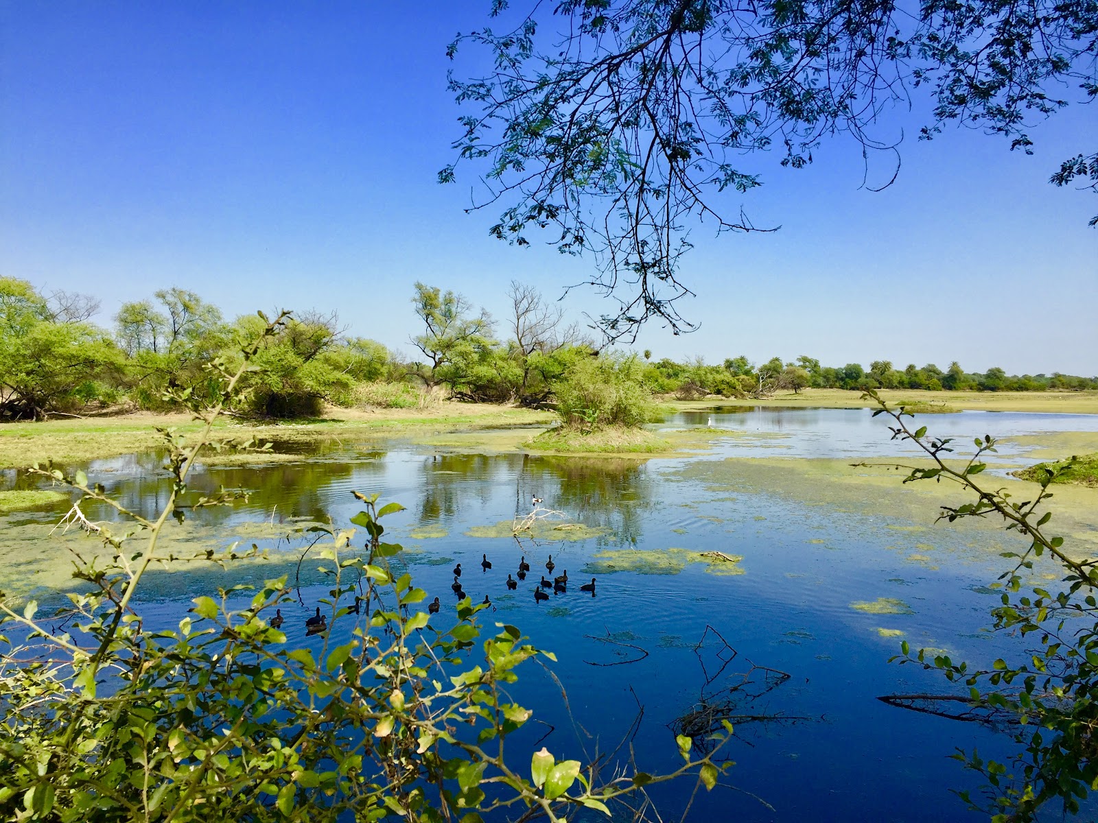 Keoladeo National Park