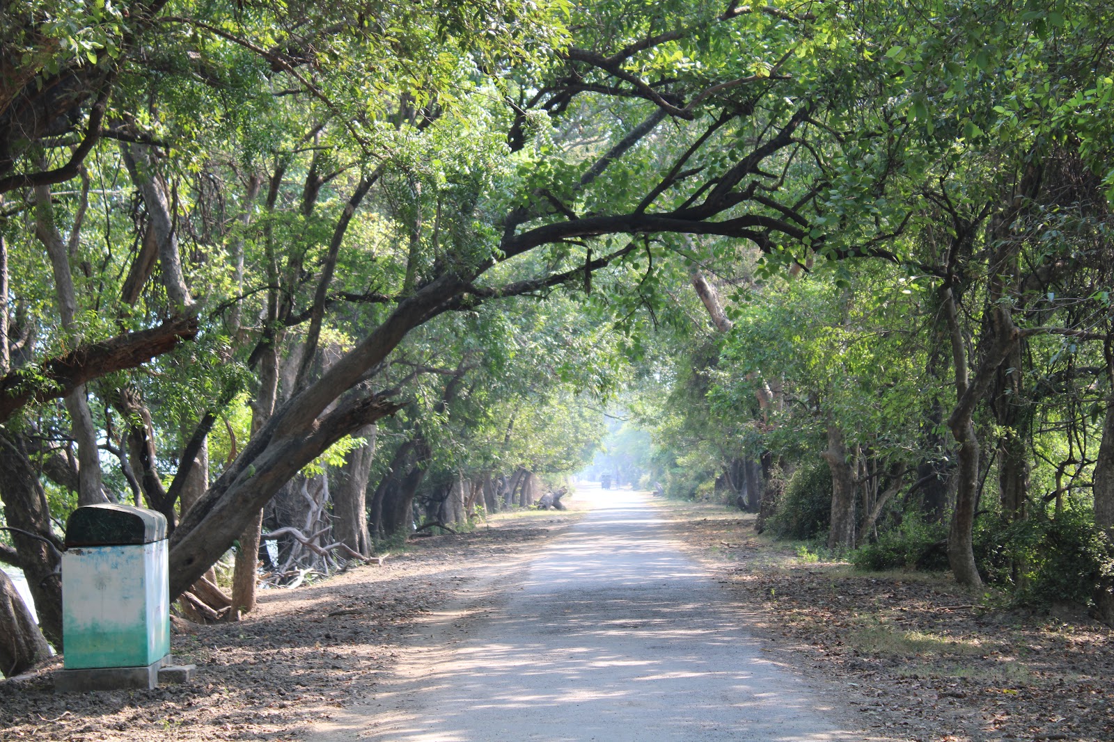 Keoladeo National Park