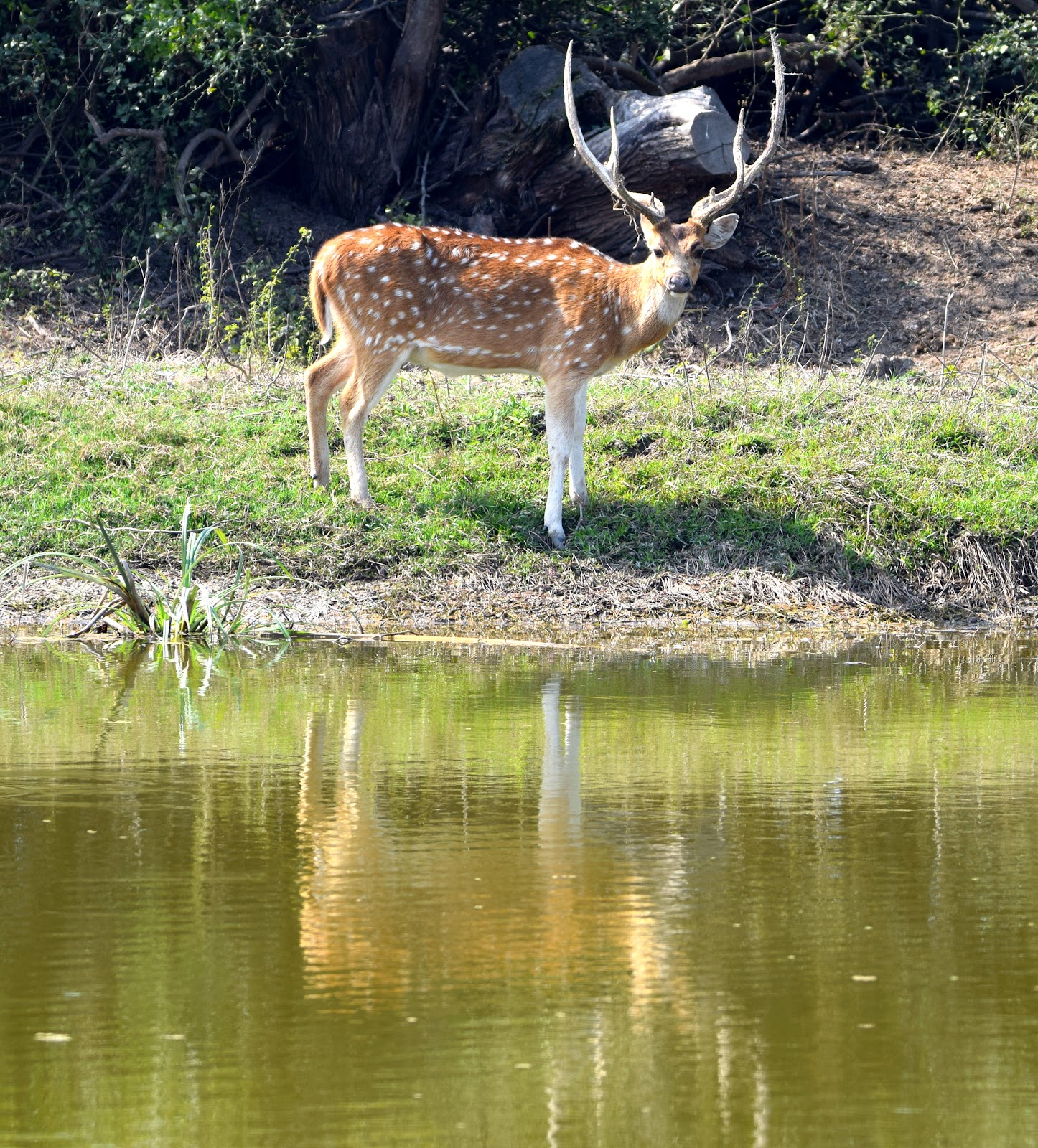 Keoladeo National Park
